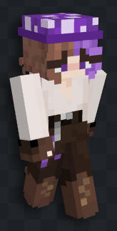 Mc skin