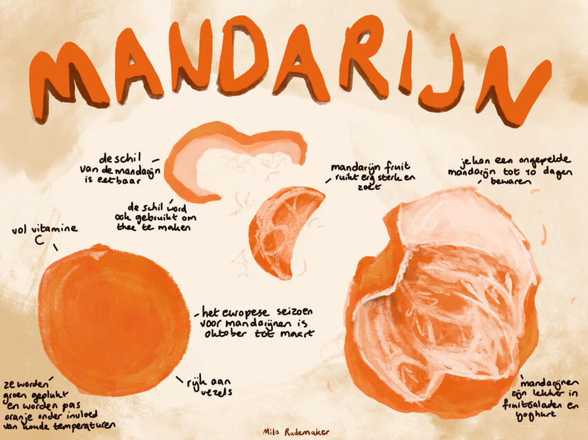 Mandarijn Mandarijn